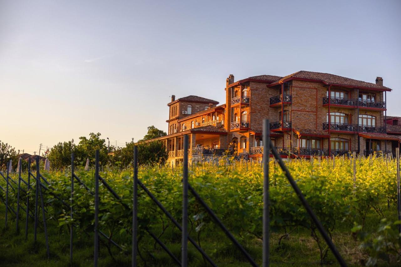 تأيلافي Schuchmann Wines Chateau,Villas & Spa المظهر الخارجي الصورة