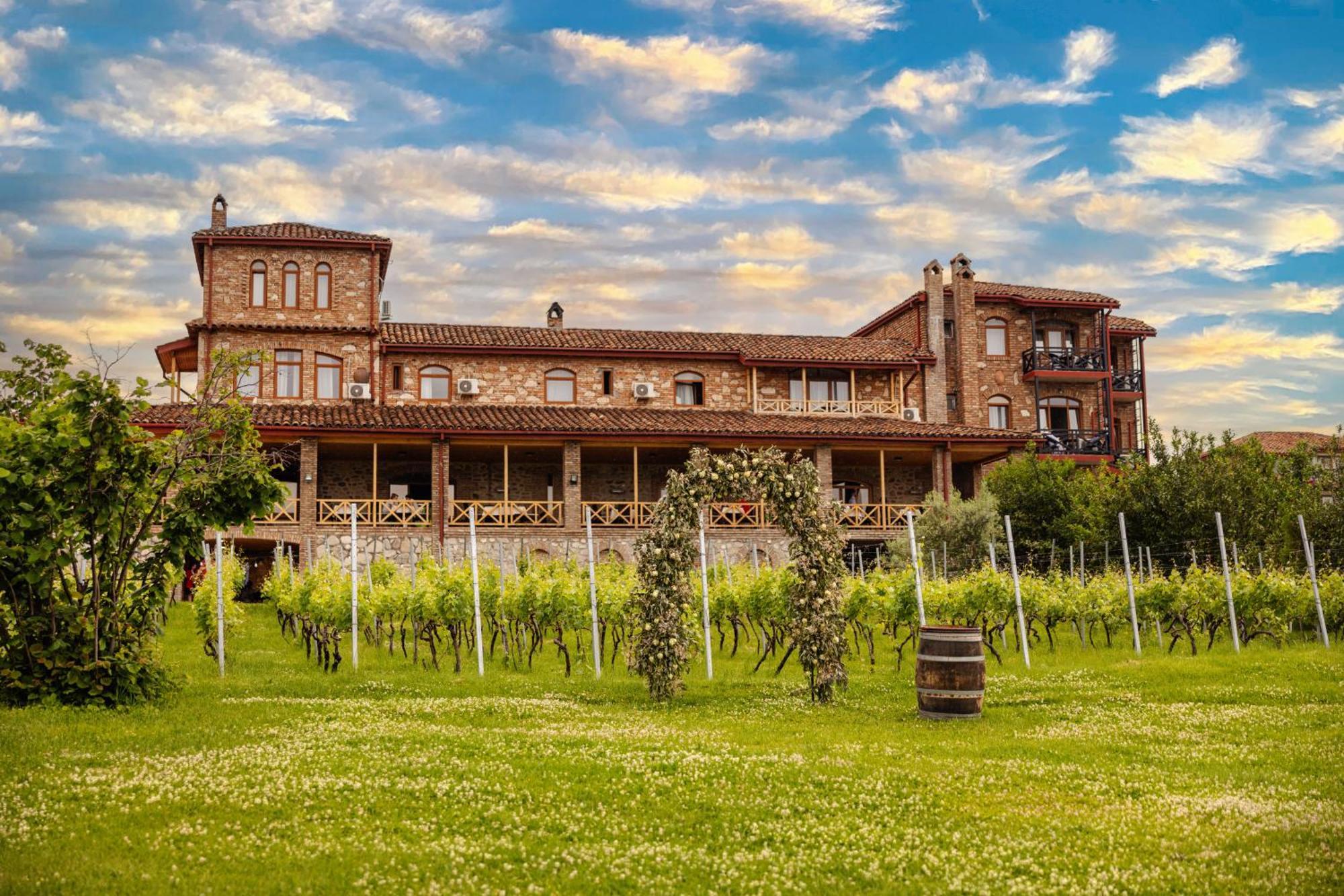 تأيلافي Schuchmann Wines Chateau,Villas & Spa المظهر الخارجي الصورة